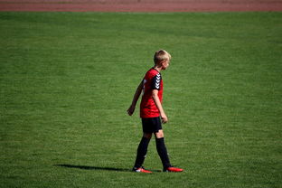 ac米兰官方网站-中国足球职业俱乐部球员转会市场活跃度提升，中国足球协会球员身份与转会管理规定