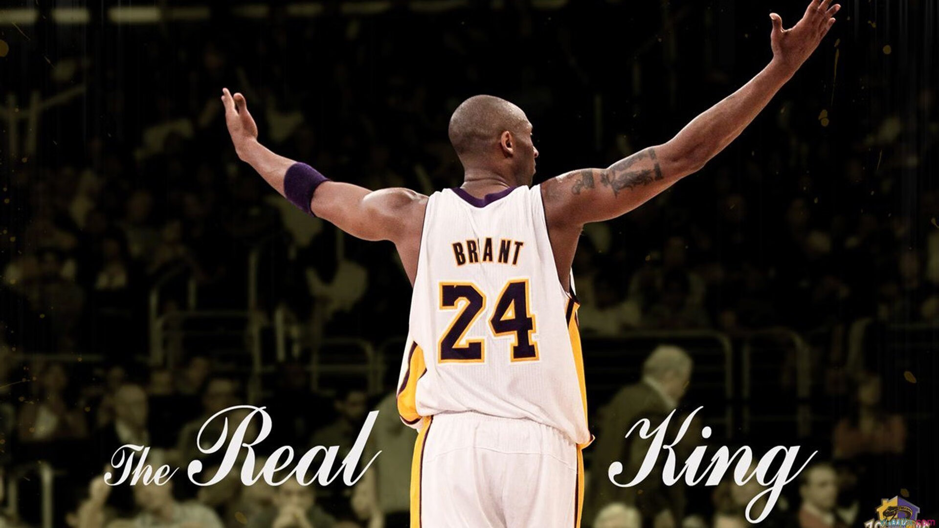 AC Milan-波波维奇决赛精彩瞬间成为焦点，波波维奇 胜场